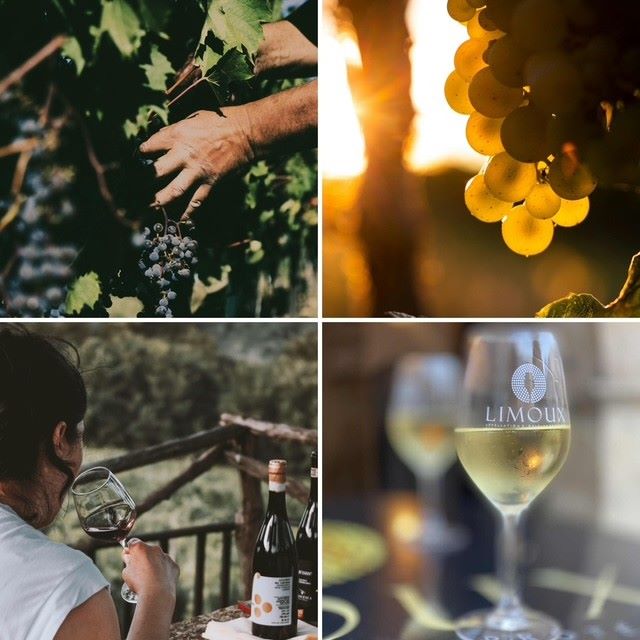vinresa